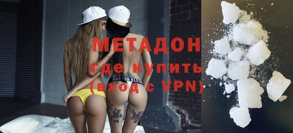 прущие грибы Абинск