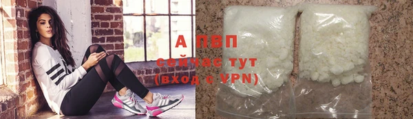 стаф Алексин