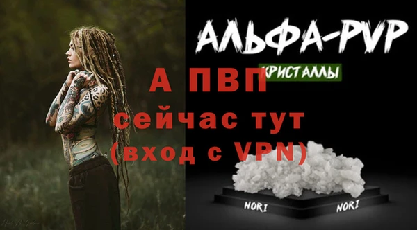 apvp Абаза