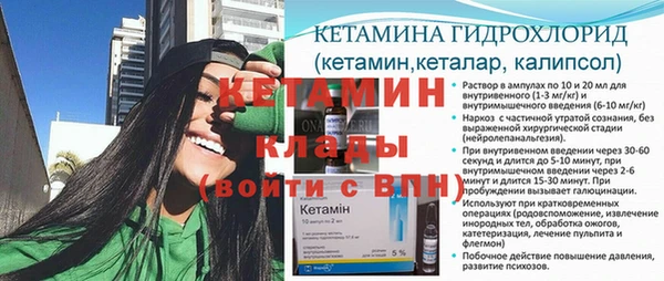 стаф Алексин
