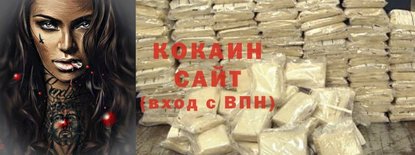 прущие грибы Абинск
