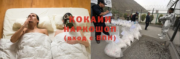 прущие грибы Абинск