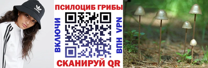 Псилоцибиновые грибы Psilocybe  закладка  Тимашёвск 